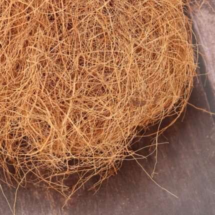 Fibra de Coco para la cría de canarios