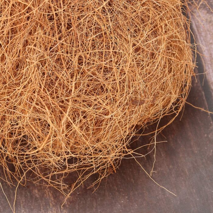 Fibra de Coco para la cría de canarios