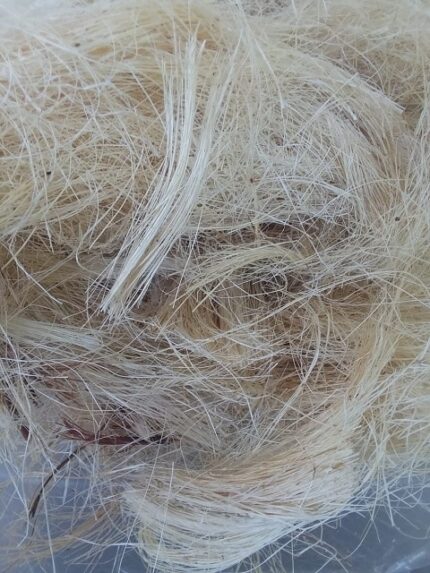Fibra de sisal para la cría de canarios